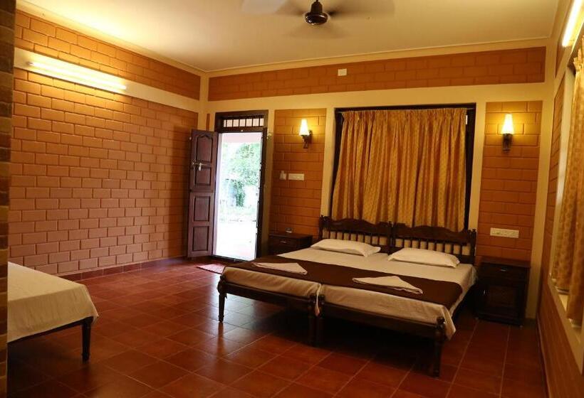 Номер Deluxe, Dazzle Dew