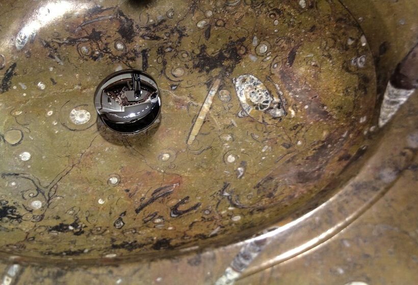 اتاق استاندارد یک نفره, Plaza