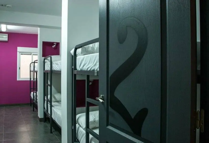 تختخواب در اتاق مشترک, Olé Backpackers Hostel