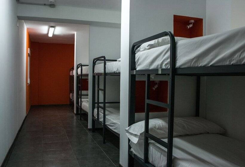 공동 객실, Olé Backpackers Hostel
