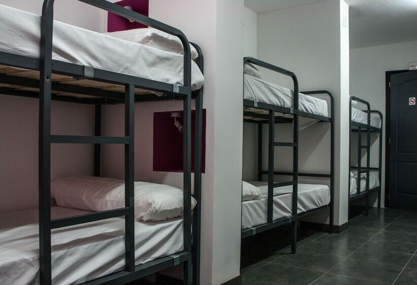 공동 객실, Olé Backpackers Hostel