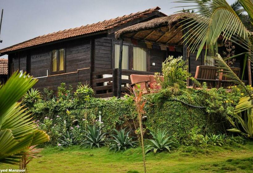 1间卧室的房子, Lotus Sutra