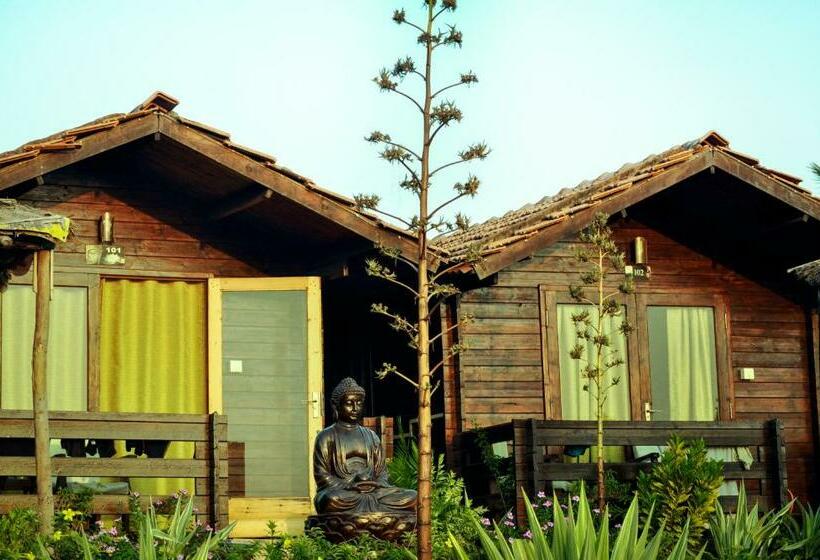 1间卧室的房子, Lotus Sutra