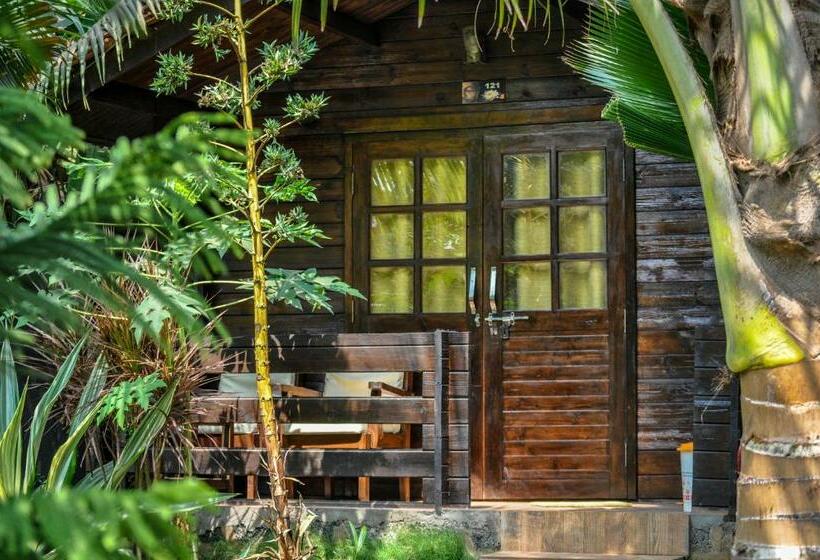 1间卧室的房子, Lotus Sutra