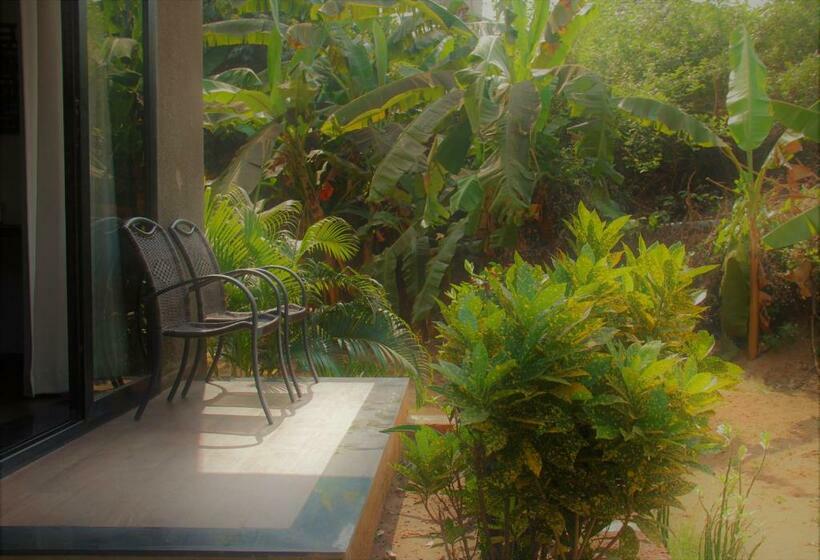 豪华房间, Lotus Sutra