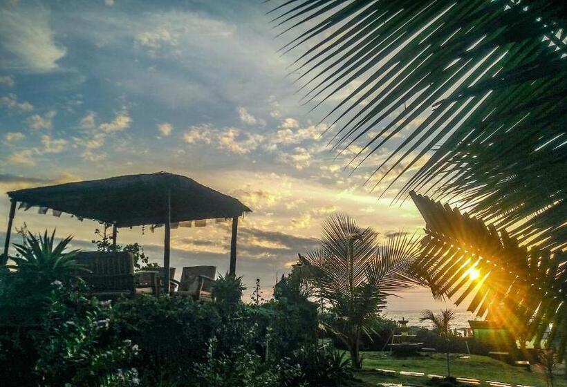 带海景的豪华间, Lotus Sutra