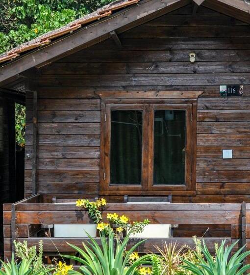 带海景的豪华间, Lotus Sutra