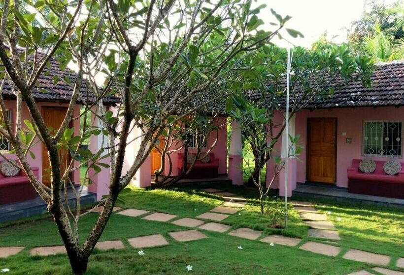 Bungalow Standard, Avalon Inn