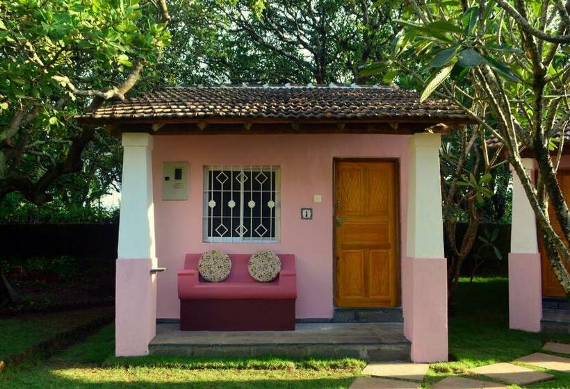 스탠다드 방갈로, Avalon Inn