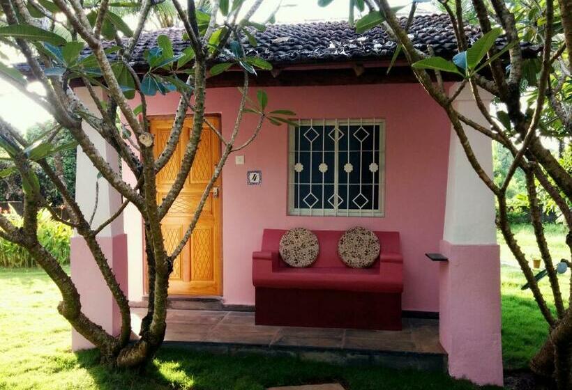 스탠다드 방갈로, Avalon Inn