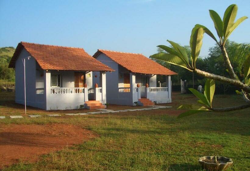 Casa 1 Dormitori, Avalon Inn