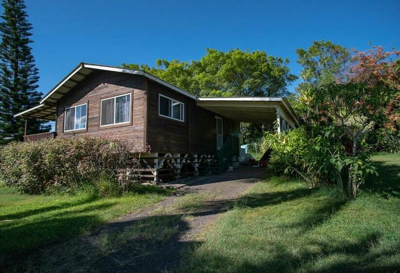 منزل غرفة نوم واحدة, God S Peace Of Maui