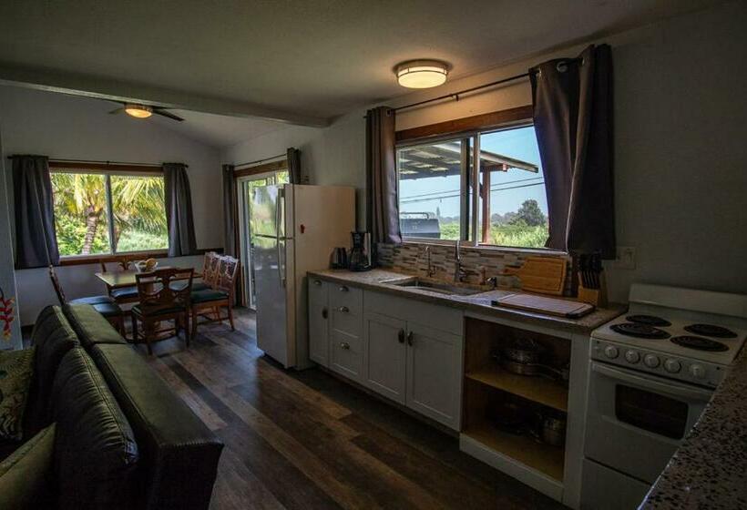 منزل غرفة نوم واحدة, God S Peace Of Maui