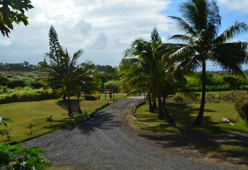 منزل غرفة نوم واحدة, God S Peace Of Maui