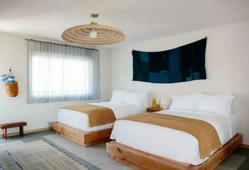 Deluxe-huone, Daunts Albatross Motel