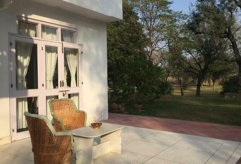 اتاق پرمیوم, Savista Retreat