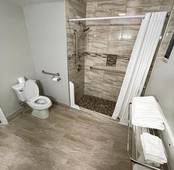 غرفة قياسية فردية لذوى الإحتياجات الخاصة, Hamilton Inn