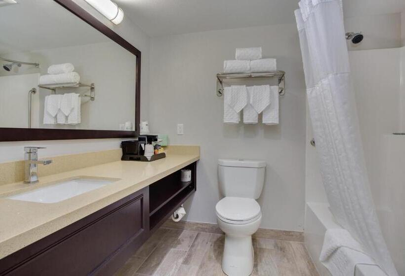 身障者適用スタンダードルーム, Quality Inn