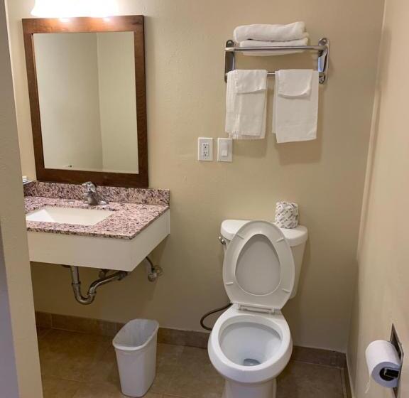 غرفة قياسية سرير كينج, A1 Budget Motel