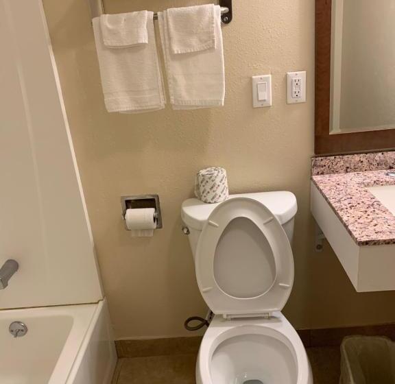 غرفة قياسية سرير كينج, A1 Budget Motel