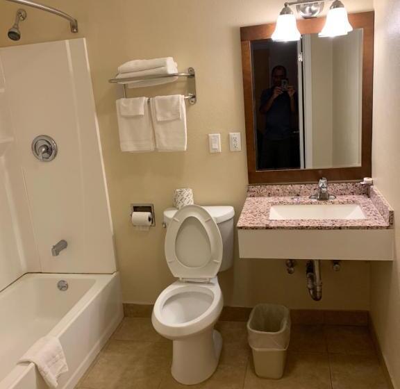 غرفة قياسية سرير كينج, A1 Budget Motel