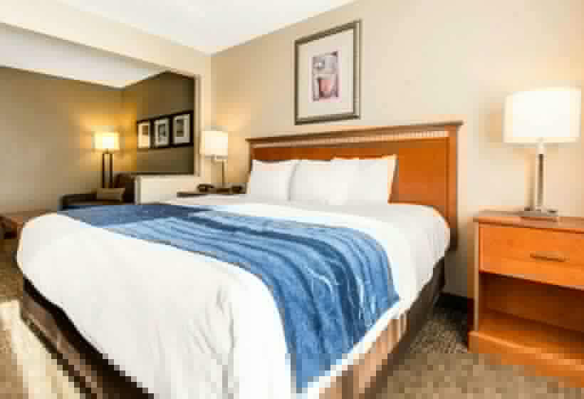 Люкс, Comfort Suites Normal University Area