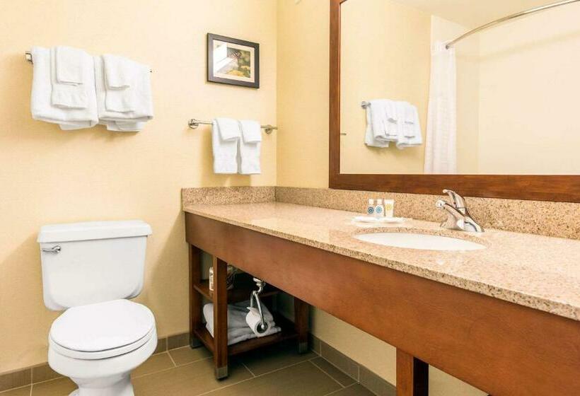 Люкс, Comfort Suites Normal University Area