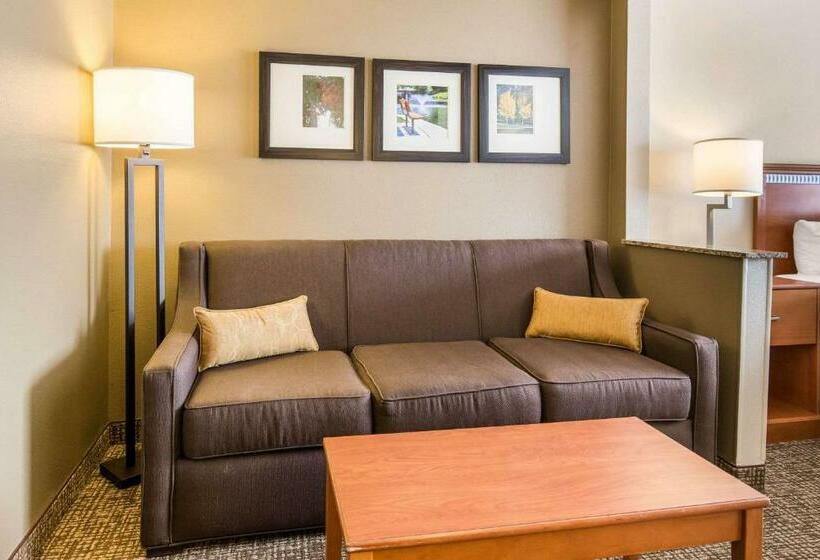 Люкс Адаптированный для Инвалидов, Comfort Suites Normal University Area