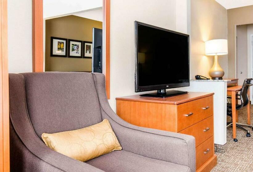 Люкс Адаптированный для Инвалидов, Comfort Suites Normal University Area