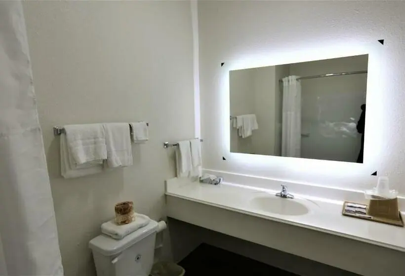 キングサイズベッドのスタンダードルーム, Executive Inn & Suites Cuero
