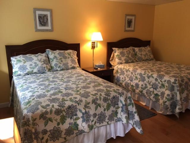 Номер Стандарт 2 Двуспальные Кровати, Footbridge North