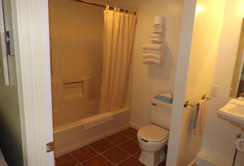 Номер Стандарт, Footbridge North