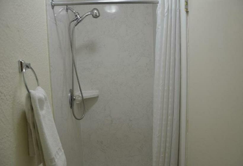 스탠다드 룸, Sunrise