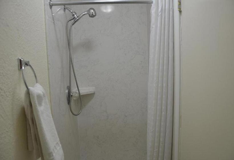 이코노미 룸, Sunrise