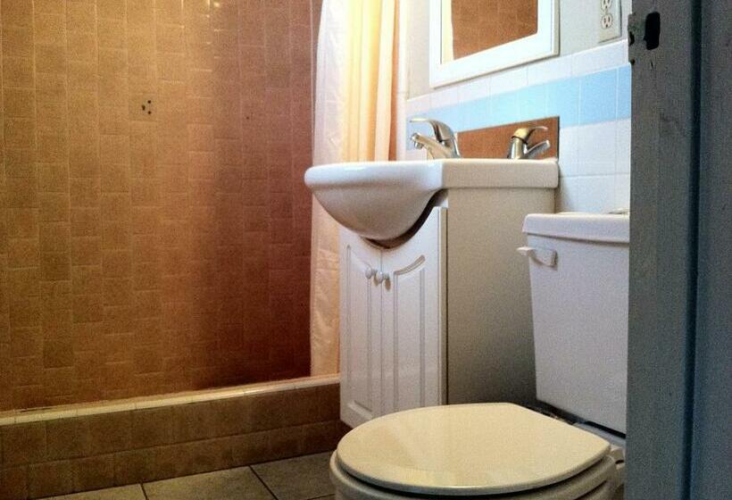 带大床的标准间, Village Inn