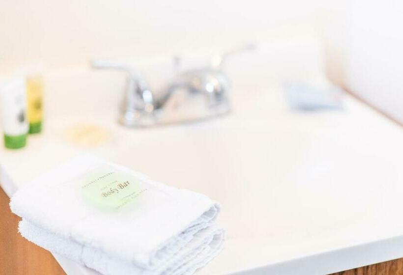 带大床的标准间, Larian Motel