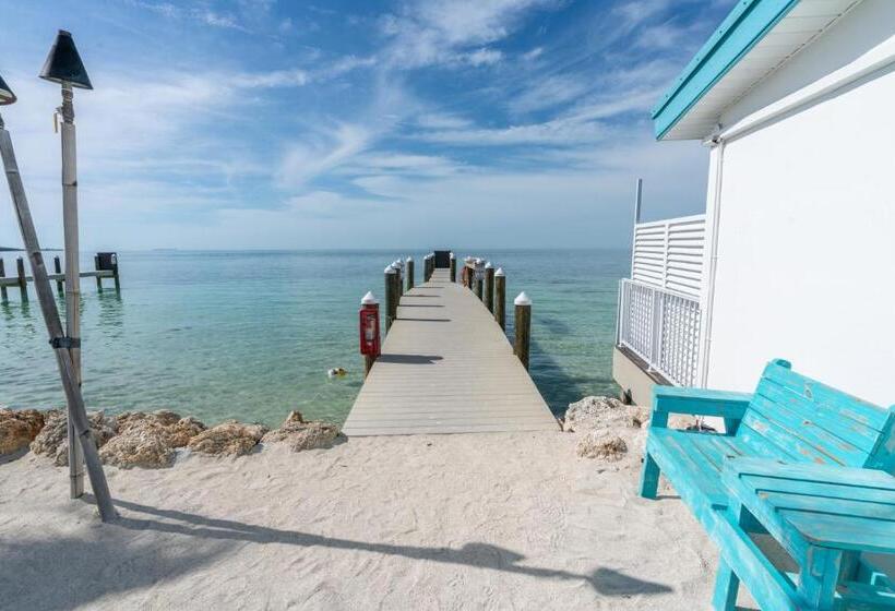 غرفة قياسية سرير كينج, Edgewater Lodge