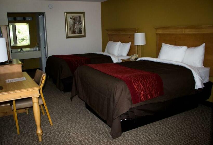 غرفه قياسيه سريرين مزدوجين, Grand Vista