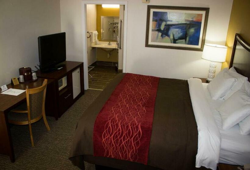 غرفة قياسية سرير كينج, Grand Vista