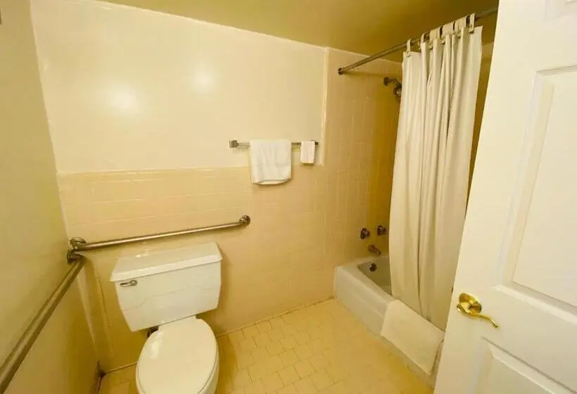 身障者適用キングサイズベッドルーム, Traveler's Place Inn & Suites