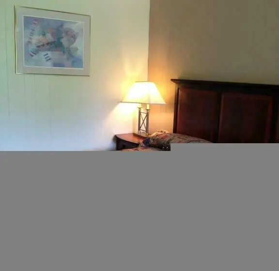 キングサイズベッドのスタンダードルーム, Ridge Top Motel   Bryson City