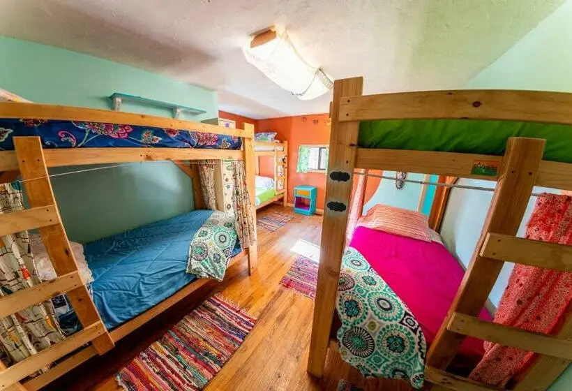 تختخواب در اتاق مشترک, The Wanderlust Hostel