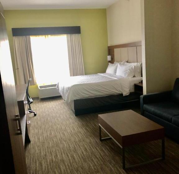 장애인을 위한 킹사이즈 침대 스탠다드 룸, Holiday Inn Express & Suites Cedar Falls   Waterloo, An Ihg