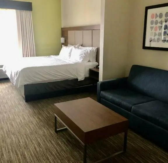 キングサイズベッドのスイートルーム, Holiday Inn Express & Suites Cedar Falls Waterloo, An Ihg