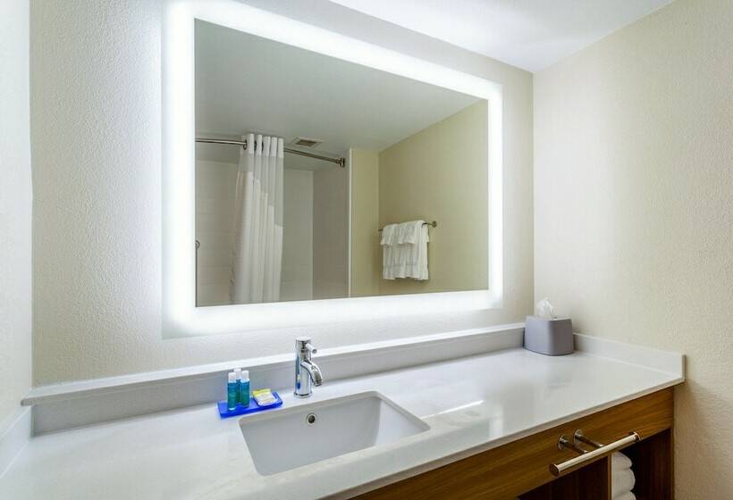 Suíte Cama King, Holiday Inn Express & Suites Cedar Falls   Waterloo, An Ihg