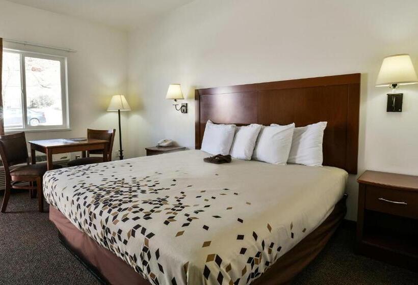 キングサイズベッドのデラックススイート, Adventure Inn Moab
