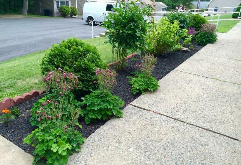 منزل غرفة نوم واحدة, Northeaster Motel