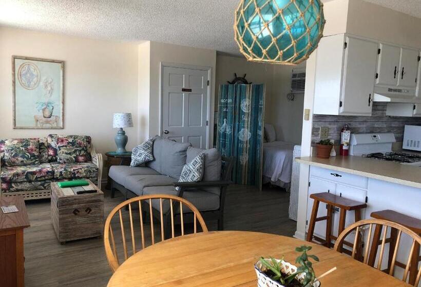 带1个卧室的公寓, The Buckingham Motel