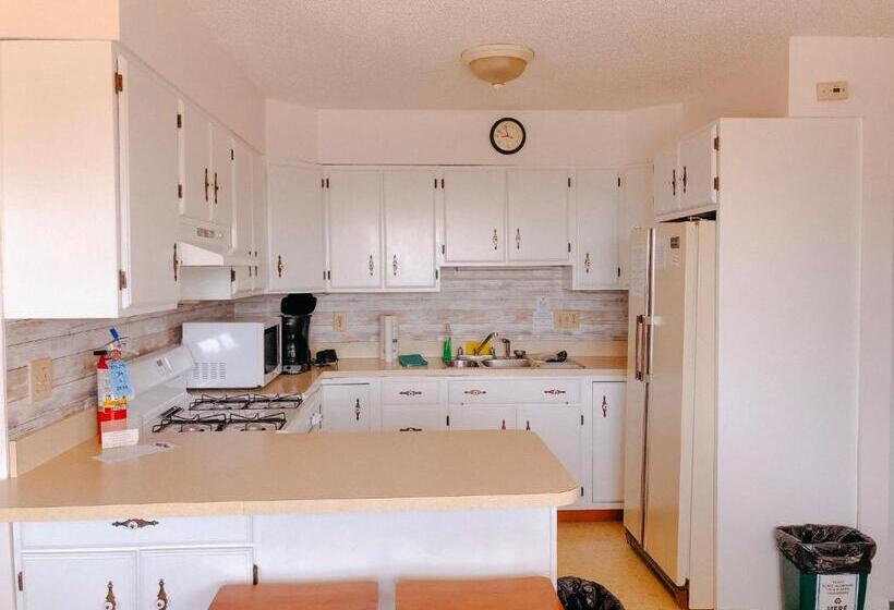 带1个卧室的公寓, The Buckingham Motel