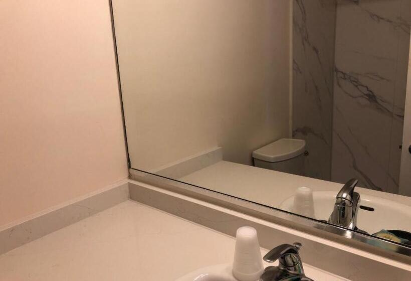 带大床的标准间, The Buckingham Motel